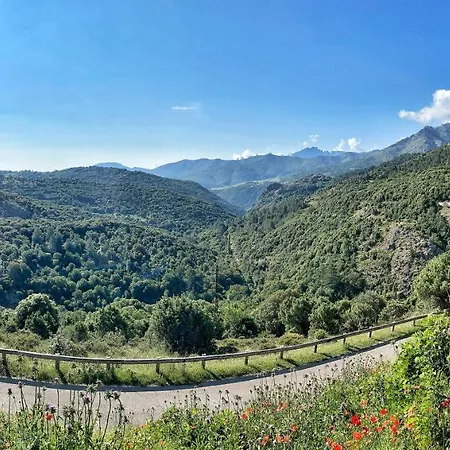 U Pasturellu Bed and Breakfast Pioggiola Buitenkant foto