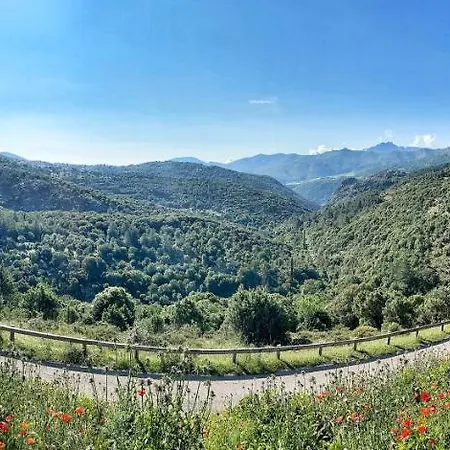 U Pasturellu Bed and Breakfast Pioggiola Buitenkant foto