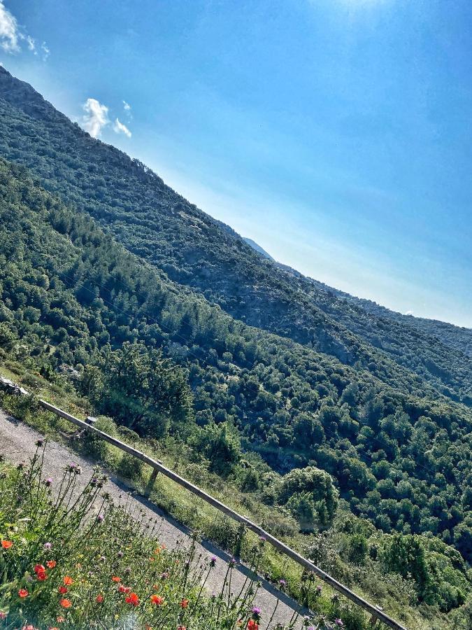 U Pasturellu *